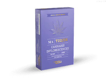 תפרחת אם איי  - T22/C4 - MA