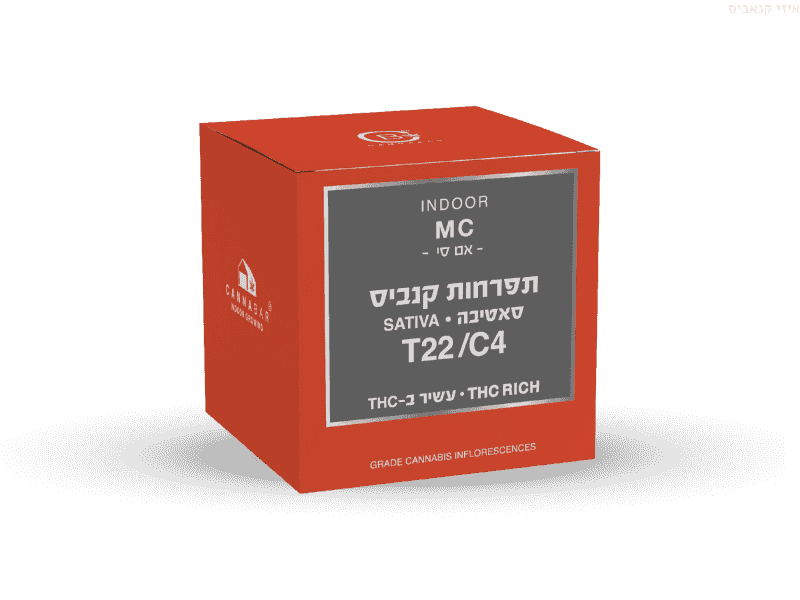 קנאביס רפואי תפרחת אם סי - T22/C4 - MC קנאבר יום - סאטיבה