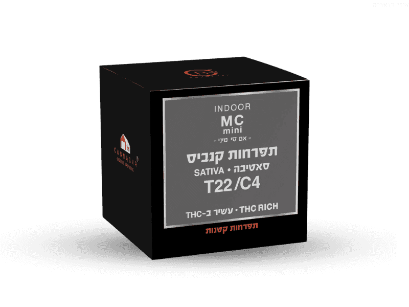 קנאביס רפואי תפרחת אם סי מיני - T22/C4 - MC Mini קנאבר יום - סאטיבה