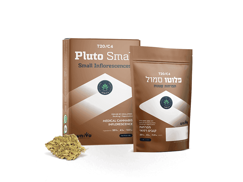 תפרחת פלוטו סמול - T20/C4 - Pluto Small