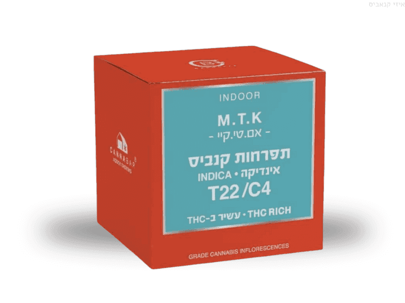 קנאביס רפואי תפרחת אם טי קיי - T22/C4 - MTK קנאבר לילה - אינדיקה