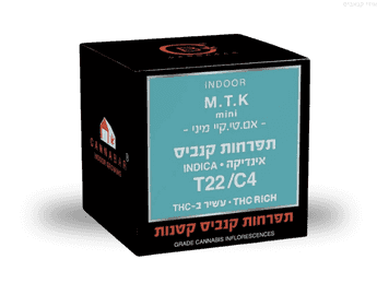 תפרחת אם טי קיי מיני - T22/C4 - MTK Mini