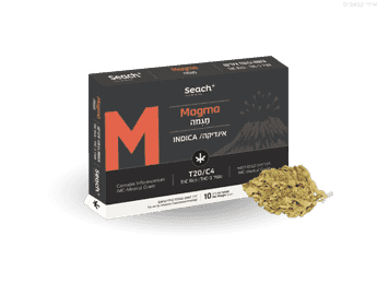 תפרחת מגמה - T20/C4 - Magma