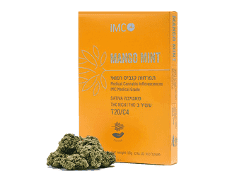 תפרחת מנגו מינט - T20/C4 - Mango Mint