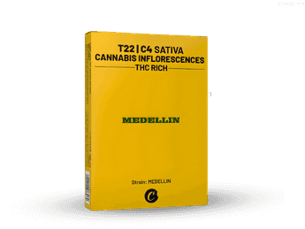 תפרחת מדיין - T22/C4 - Medellin