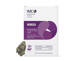 תפרחת מימוזה - T20/C4 - Mimosa