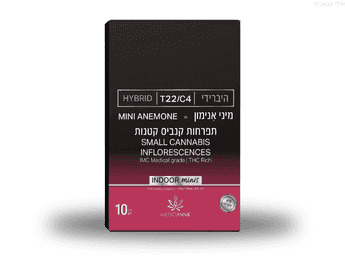 תפרחת מיני אנימון - T22/C4 - Mini Anemone