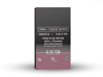 תפרחת מיני בי או בי - T22/C4 - Mini B.O.B