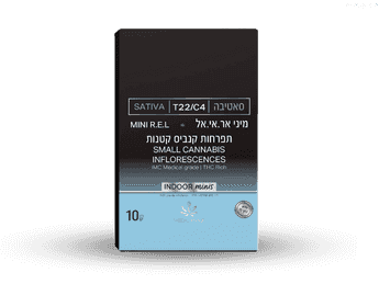 תפרחת מיני אר אי אל - T22/C4 - Mini R.E.L