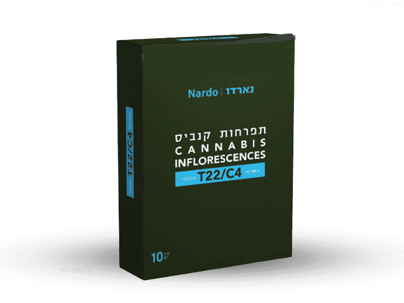 תפרחת נארדו - T22/C4 - Nardo