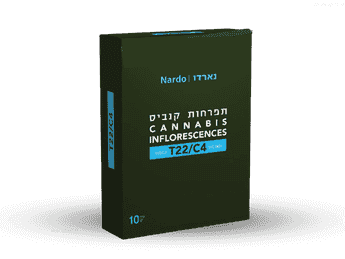 תפרחת נארדו - T22/C4 - Nardo