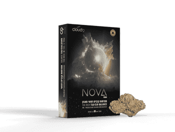 תפרחת נובה - T10/C10 - Nova