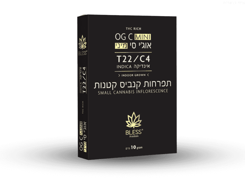 קנאביס רפואי תפרחת אוג'י סי מיני - T22/C4 - OGC Mini בלס פארמה מדיקל לילה - אינדיקה