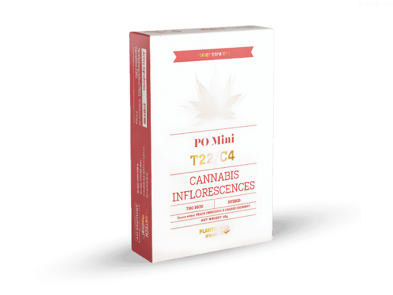 קנאביס רפואי תפרחת פי או מיני  - T22/C4 - PO Mini פלאנטק מדיקל יום\לילה - היברידי