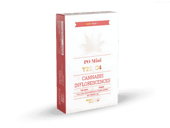 תפרחת פי או מיני  - T22/C4 - PO Mini