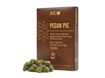 תפרחת פקאן פאי - T20/C4 - Pecan Pie