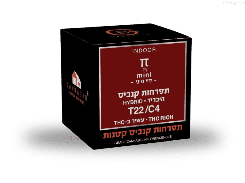 קנאביס רפואי תפרחת פיי מיני - T22/C4 - Pie Mini קנאבר יום\לילה - היברידי