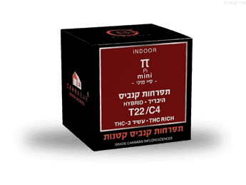 תפרחת פיי מיני - T22/C4 - Pie Mini