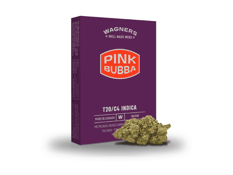 תפרחת פינק באבא - T20/C4 - Pink Bubba