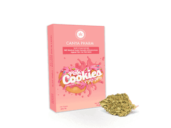 תפרחת פינק קוקיז - T20/C4 - Pink Cookies