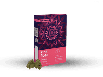 תפרחת פינק רוז - T20/C4 - Pink Rose