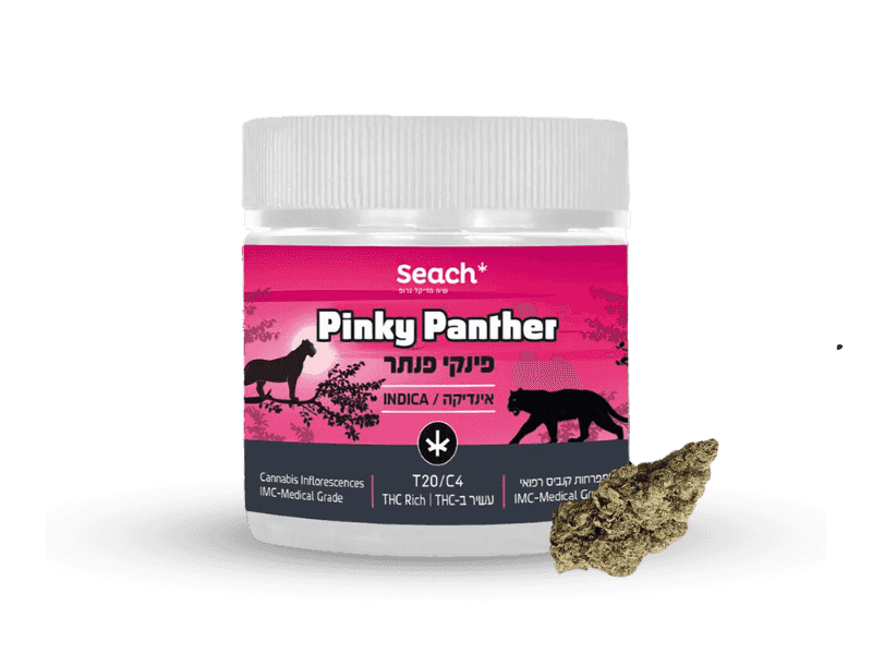 תפרחת פינקי פנתר - T20/C4 - Pinky Panter