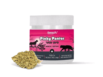 תפרחת פינקי פנתר - T20/C4 - Pinky Panter