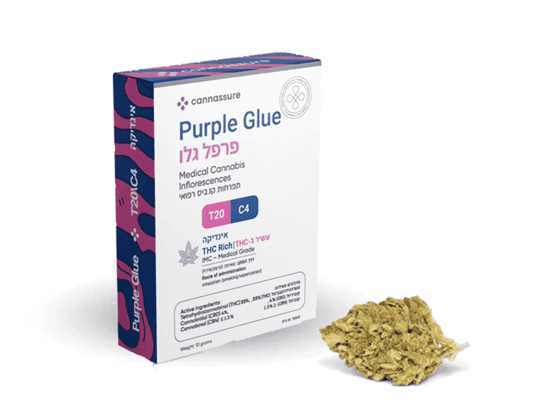 קנאביס רפואי תפרחת פרפל גלו - T20/C4 - Purple Glue קנאשור לילה - אינדיקה