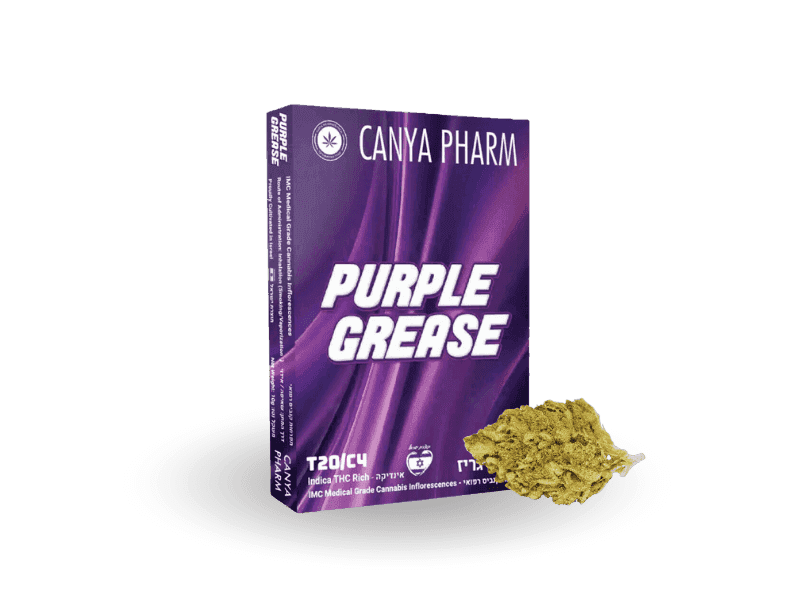 קנאביס רפואי תפרחת פרפל גריז - T20/C4 - Purple Grease קאניה פארם לילה - אינדיקה