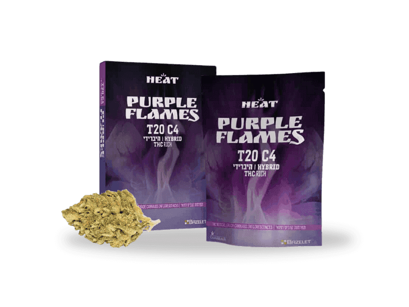תפרחת ‮פרפל פליימס‬‬ - T20/C4 - Purple flames