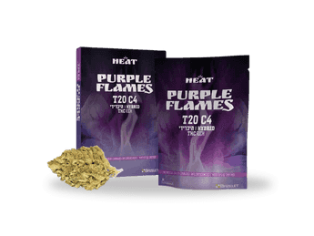 תפרחת פרפל פליימס - T20/C4 - Purple flames