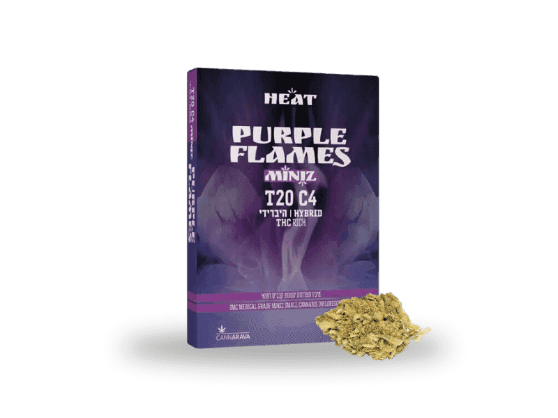 תפרחת ‮פרפל פליימס מיניז‬‬‬ - T20/C4 - Purple flames Miniz