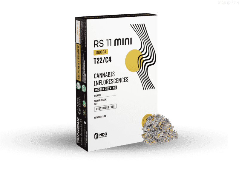 תפרחת אר אס 11 מיני - T22/C4 - RS11 Mini