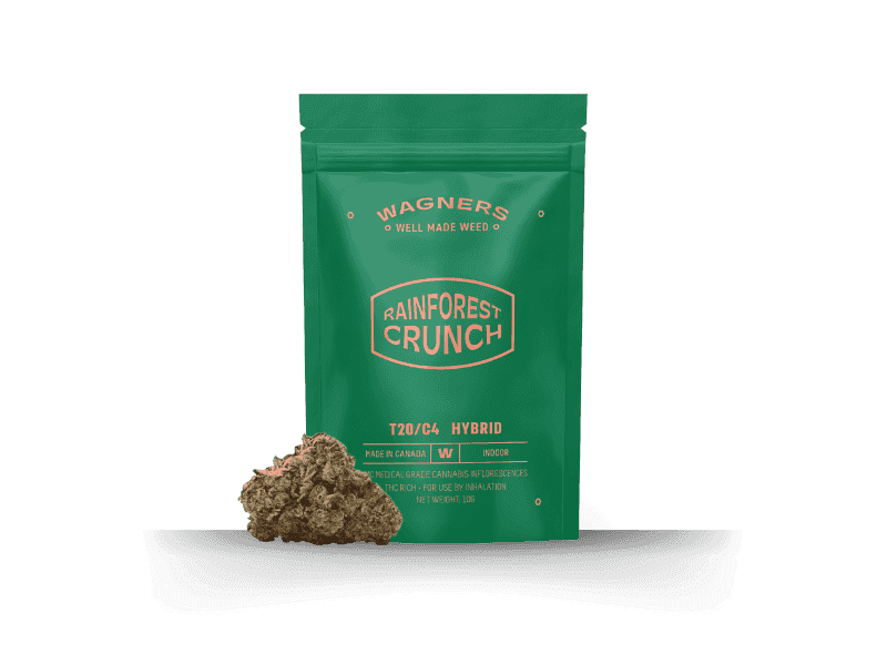 תפרחת ריינפורסט קראנץ' - T20/C4 - Rainforest Crunch