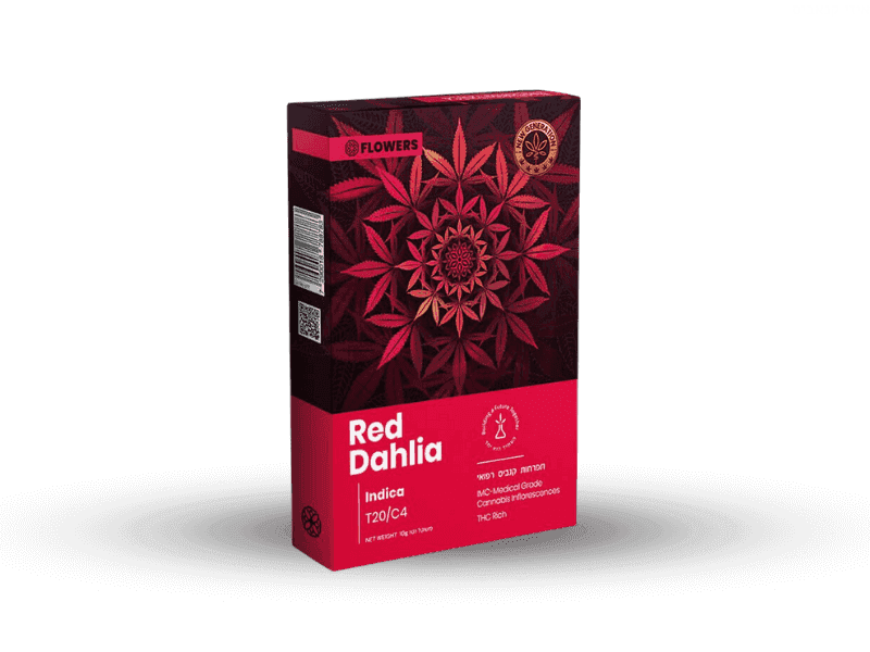 תפרחת דליה אדומה - T20/C4 - Red Dahlia