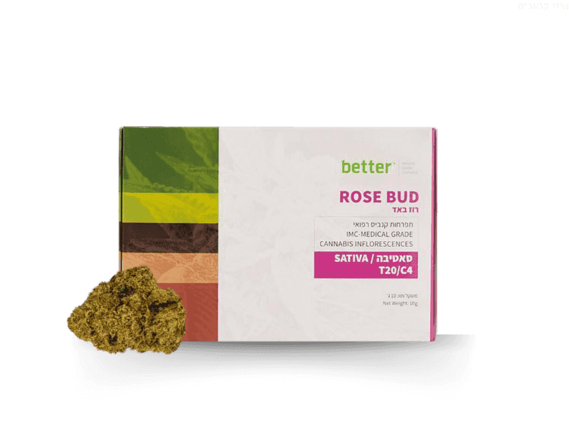 תפרחת רוז באד - T20/C4 - Rose Bud