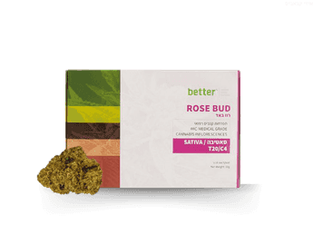 תפרחת רוז באד - T20/C4 - Rose Bud