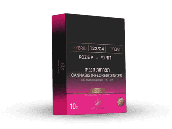 תפרחת רוזי פי - T22/C4 - Rozie P