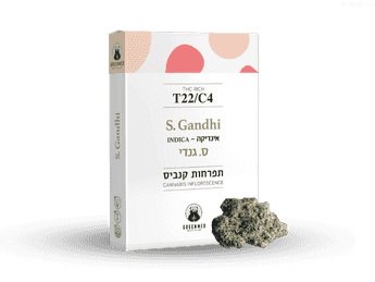 תפרחת ס.גנדי - T22/C4 - S.Gandhi