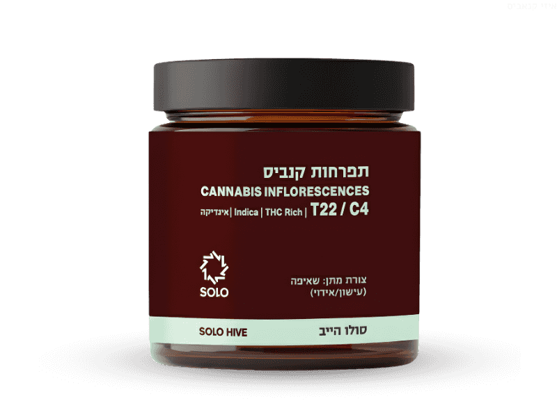 קנאביס רפואי תפרחת סולו הייב - T22/C4 - SOLO Hive מדוקאן לילה - אינדיקה
