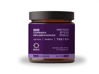 תפרחת סולו קונס מיני - T22/C4 - SOLO Koons Mini