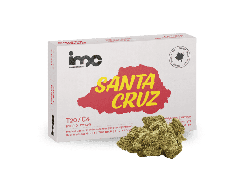 קנאביס רפואי תפרחת סנטה קרוז - T20/C4 - Santa Cruz איי.אמ.סי יום\לילה - היברידי