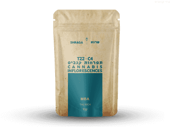 תפרחת שרגא - T22/C4 - Shraga