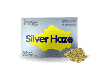תפרחת סילבר הייז - T20/C4 - Silver Haze