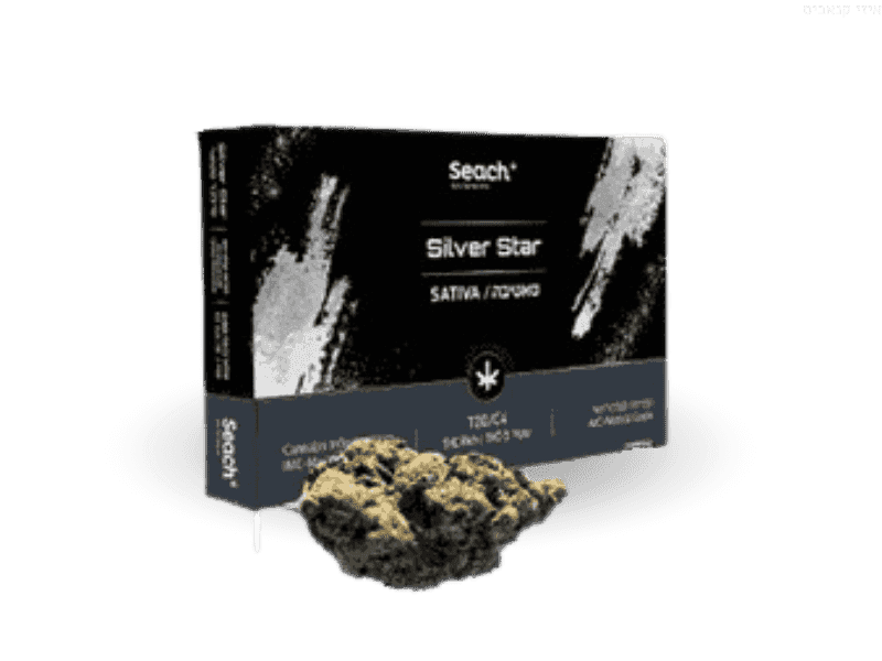 תפרחת סילבר סטאר - T20/C4 - Silver Star