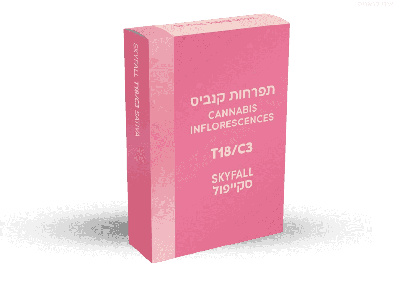 תפרחת סקייפול - T18/C3 - Skyfall