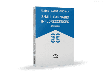 תפרחת סומה מיני - T22/C4 - Soma Mini
