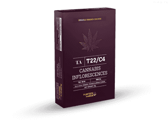 תפרחת טי איי  - T22/C4 - TA