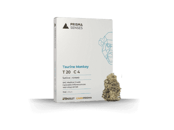 תפרחת טאורין מאנקי  - T20/C4 - Taurine Monkey