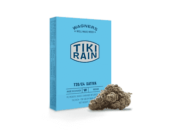 תפרחת טיקי ריין - T20/C4 - Tiki Rain